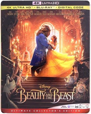 Beauty and the Beast (Piękna i Bestia) (Disney)