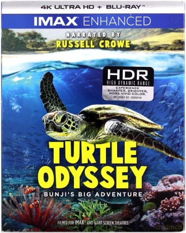 Turtle Odyssey