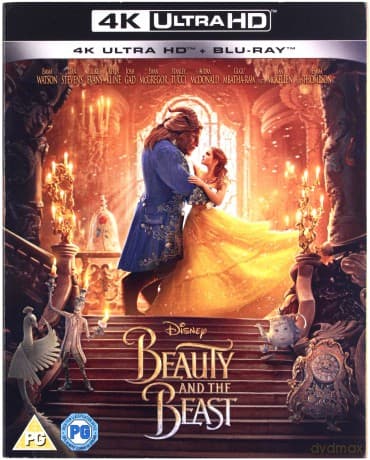 Beauty and The Beast (Piękna i Bestia)