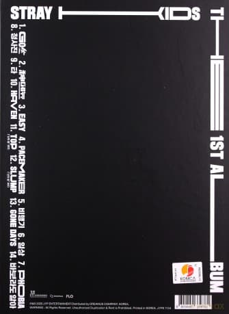 Stray Kids: Go Live (digibook)