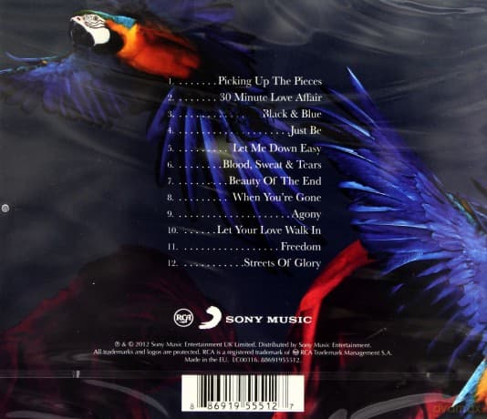 Paloma Faith: Fall To Grace