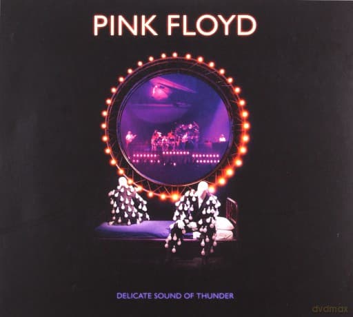 Pink Floyd: Delicate Sound Of Thunder