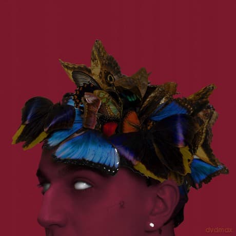 Sobel: Pułapka Na Motyle