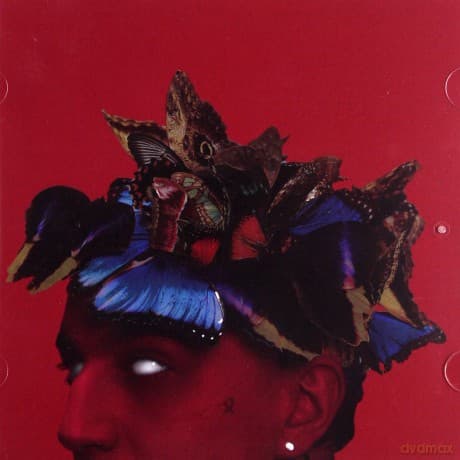 Sobel: Pułapka Na Motyle