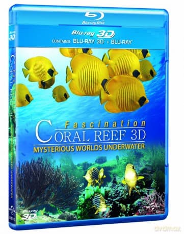 Coral Reef: Mysterious Worlds Underwater 3D (Rafa Koralowa)