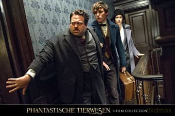 Fantastic Beasts Collection (Fantastyczne zwierzęta i jak je znaleźć/ Fantastyczne zwierzęta: Zbrodnie Grindelwalda/ Fantastyczne zwierzęta: Tajemnice Dumbledore'a)