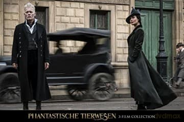 Fantastic Beasts Collection (Fantastyczne zwierzęta i jak je znaleźć/ Fantastyczne zwierzęta: Zbrodnie Grindelwalda/ Fantastyczne zwierzęta: Tajemnice Dumbledore'a)