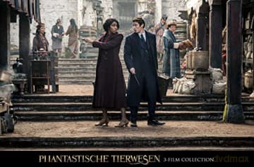 Fantastic Beasts Collection (Fantastyczne zwierzęta i jak je znaleźć/ Fantastyczne zwierzęta: Zbrodnie Grindelwalda/ Fantastyczne zwierzęta: Tajemnice Dumbledore'a)