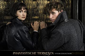 Fantastic Beasts Collection (Fantastyczne zwierzęta i jak je znaleźć/ Fantastyczne zwierzęta: Zbrodnie Grindelwalda/ Fantastyczne zwierzęta: Tajemnice Dumbledore'a)