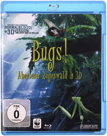 Bugs! A Rainforest Adventure