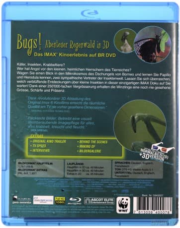 Bugs! A Rainforest Adventure