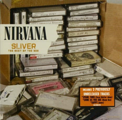 Nirvana: Sliver The Best Of The Box