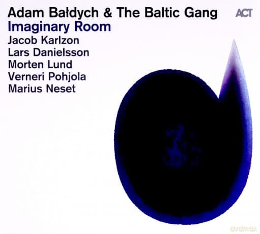 Adam Bałdych: Imaginary Room