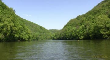 Magic Forest 3D (Magiczny Las 3D)