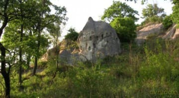 Magic Forest 3D (Magiczny Las 3D)