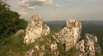 Magic Forest 3D (Magiczny Las 3D)