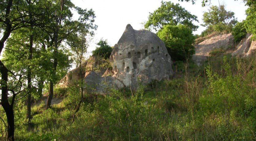 Magic Forest 3D (Magiczny Las 3D)