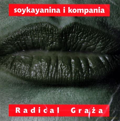Stanisław Soyka: Radical Graza
