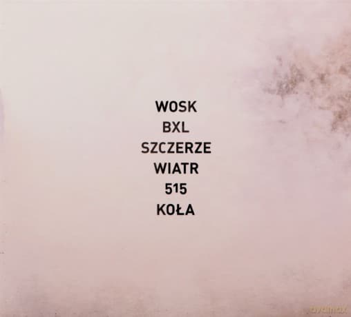 Taco Hemingway: Wosk