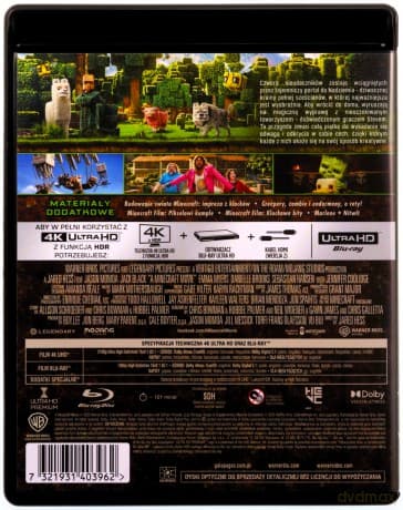 Minecraft: Film