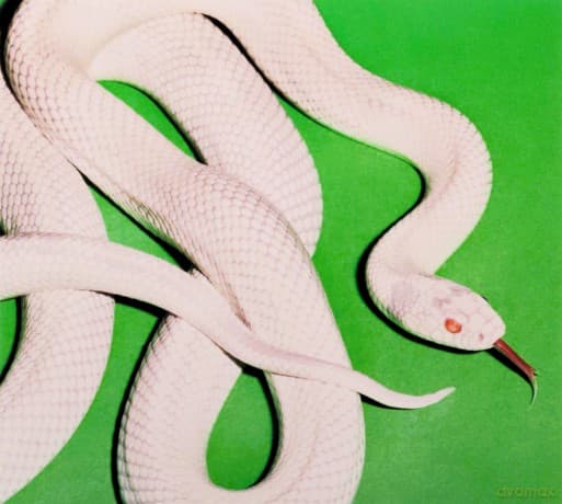 Deftones: Private Music