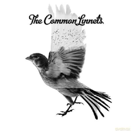 The Common Linnets: Common Linnets