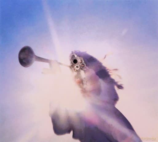 Geese: Getting Killed