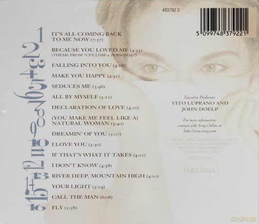 Celine Dion: Falling Into You