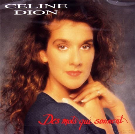 Celine Dion: Des Mots Qui Sonnent