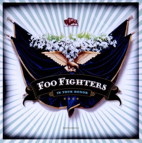 Foo Fighters: In Your Honor