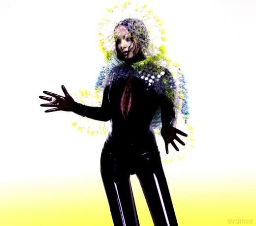 Bjork: Vulnicura