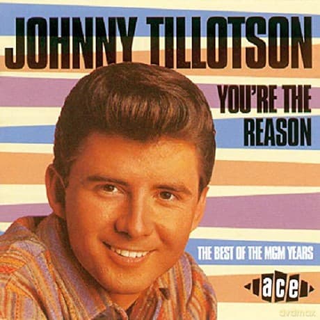 Tillotson Johnny: You Re The Reason - Best Of The Mgm Years