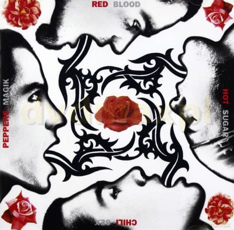 Red Hot Chili Peppers: Blood, Sugar, Sex, Magik