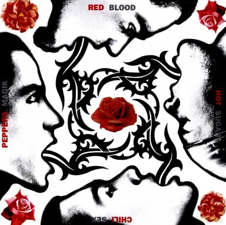 Red Hot Chili Peppers: Blood, Sugar, Sex, Magik