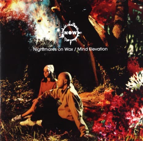Nightmares On Wax: Mind Elevation