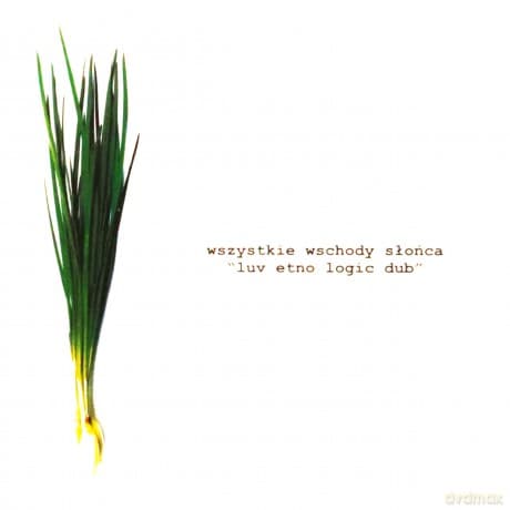 Wszystkie Wschody Słońca: Luv Etno Logic Dub