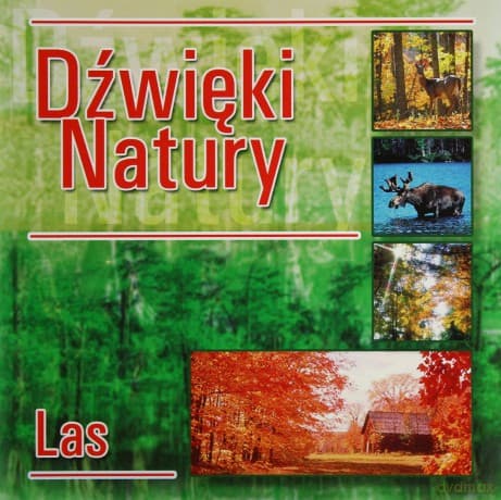 Muzyka Relaksacyjna: Dźwięki natury - Las