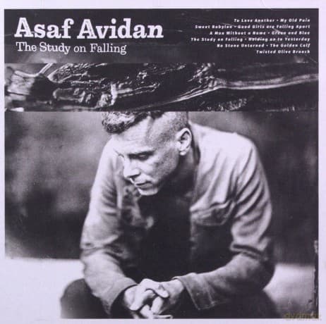 Asaf Avidan: The Study On Falling (PL)