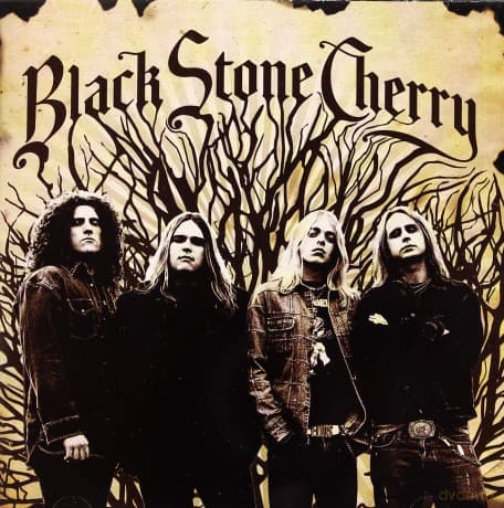 Black Stone Cherry: Black Stone Cherry
