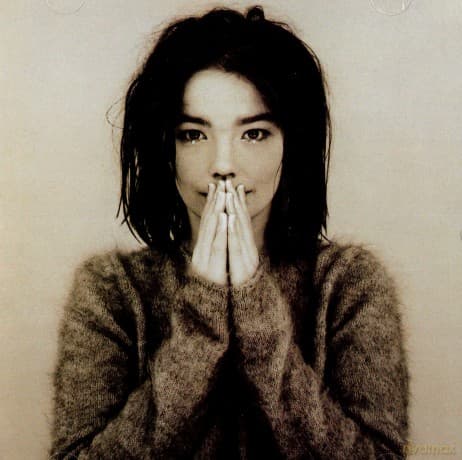 Bjork: Debut