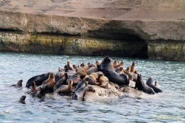 Patagonia: Earth's Secret Paradise 3D