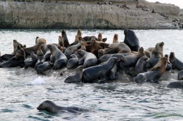 Patagonia: Earth's Secret Paradise 3D