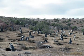 Patagonia: Earth's Secret Paradise 3D