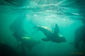 Patagonia: Earth's Secret Paradise 3D