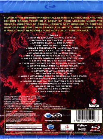 A Concert By The Lake