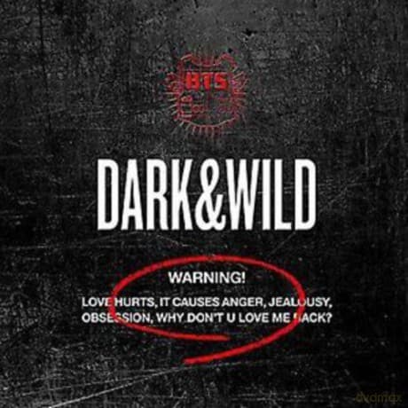 BTS: Dark & Wild