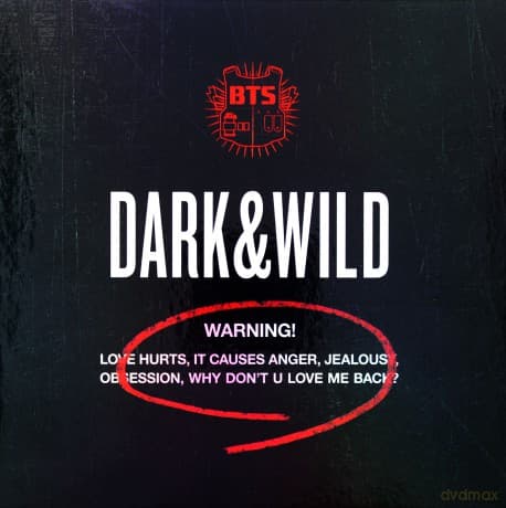 BTS: Dark & Wild