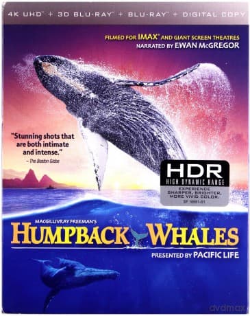 Humpback Whales