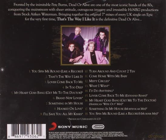 Dead Or Alive: That's The Way I Like It: The Best of Dead Or Alive