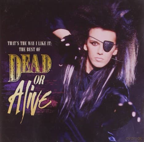 Dead Or Alive: That's The Way I Like It: The Best of Dead Or Alive